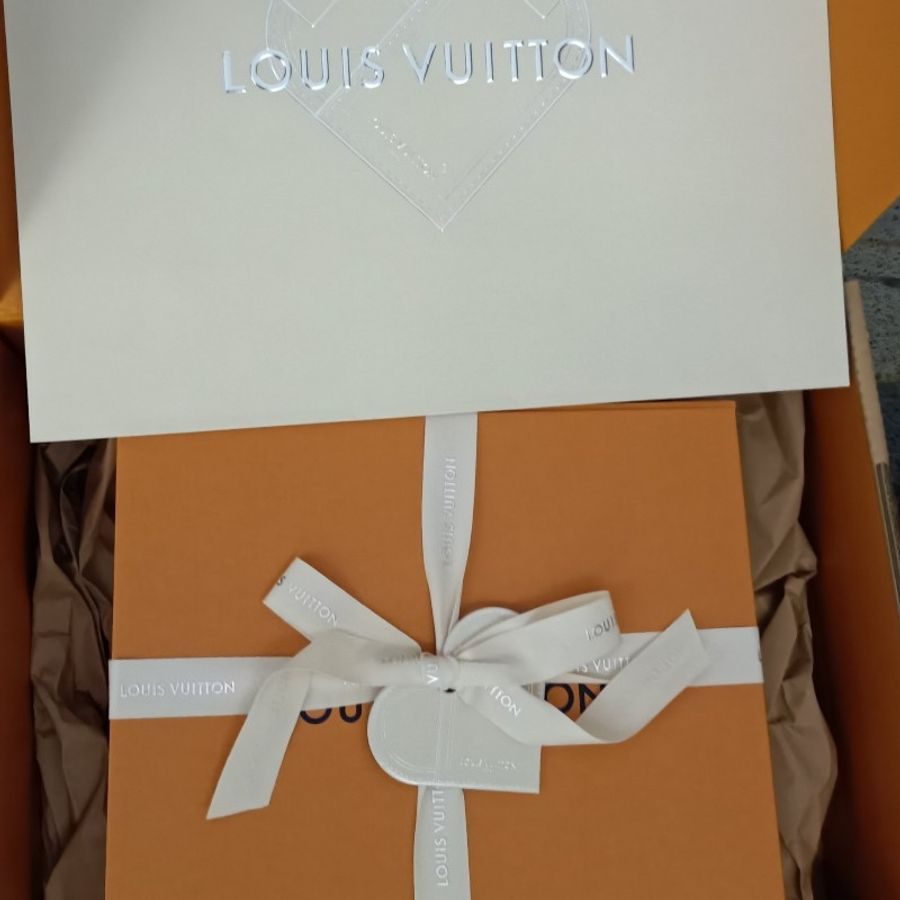 (9.9成新) LV speedy 20 monogram,米色寬背帶,大全配-39