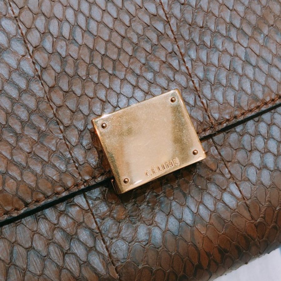 Celine 思琳蛇皮紋肩包 Trapeze Medium Python Bag-2