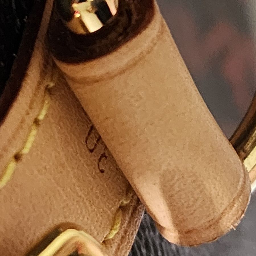 Lv 貓咪speedy30 背帶款 catogram 貓狗-5