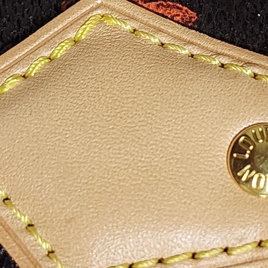 Lv 貓咪speedy30 背帶款 catogram 貓狗-6