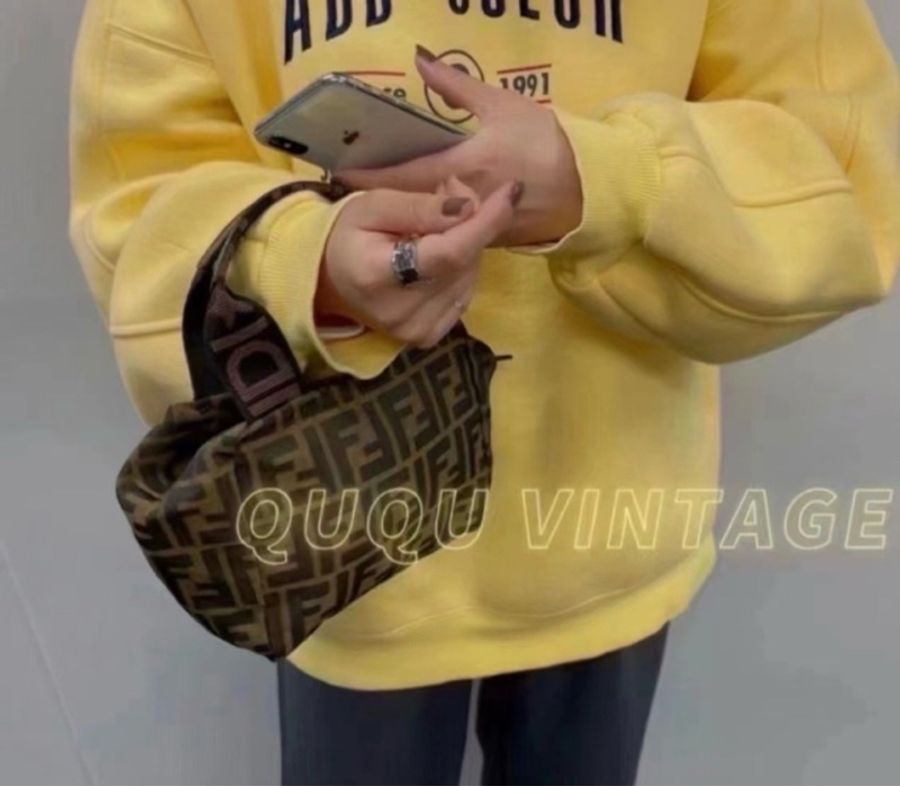 Fendi 小手提包 遛狗包-1