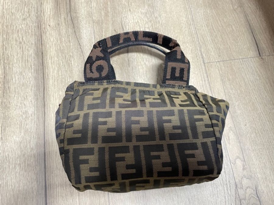 Fendi 小手提包 遛狗包-5