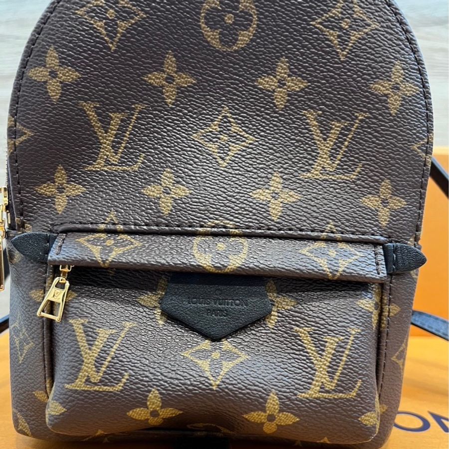 LV Palm Springs Mini 後背包 新款小書包 M44873 晶片款-3