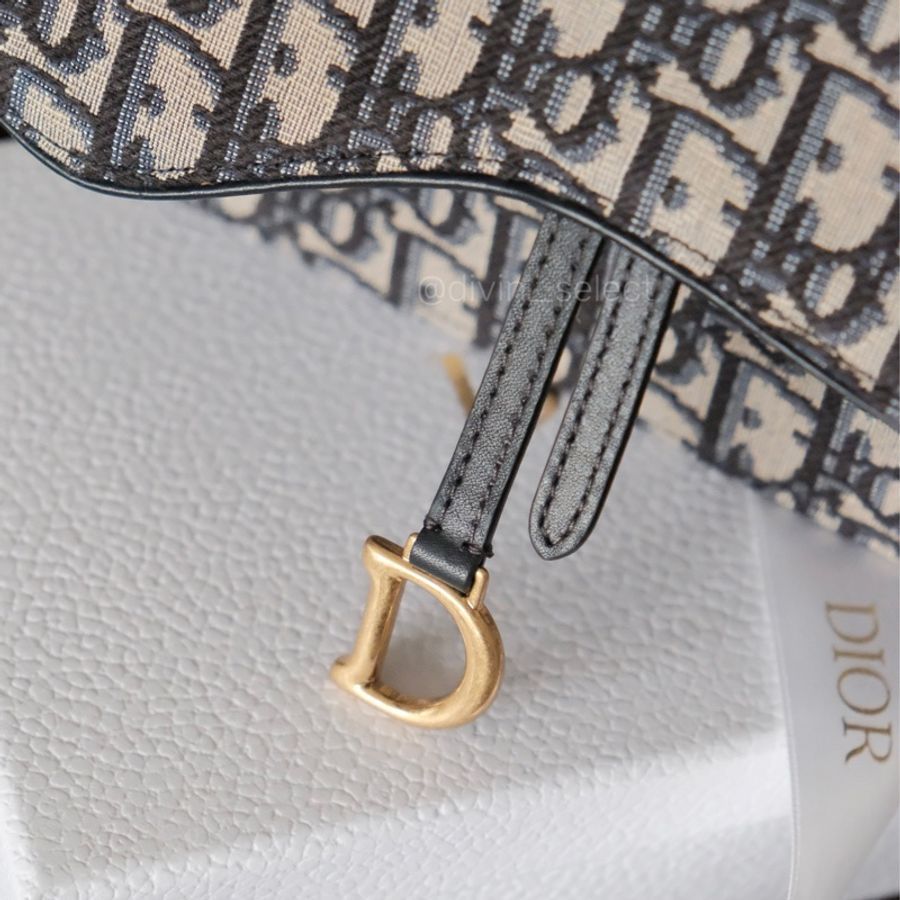 Dior Jacquard saddle pouch老花woc信封包-7