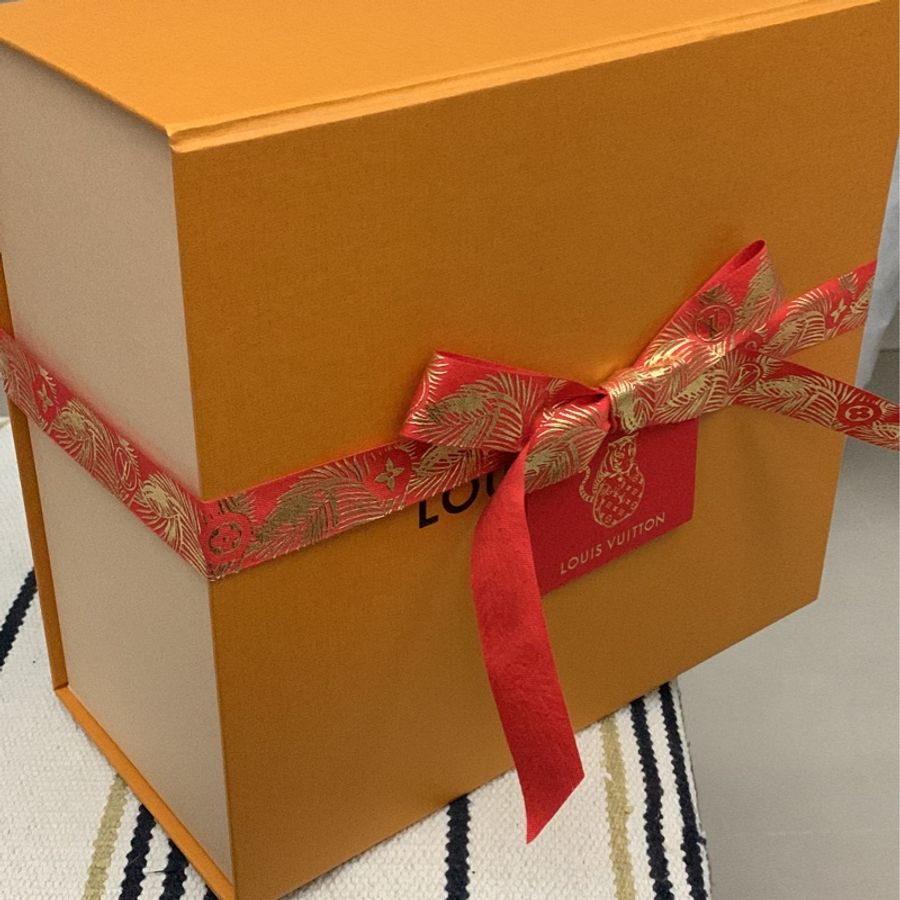 (現貨近全新)LV Speedy 20 波士頓包(黑色背帶) M45957-6