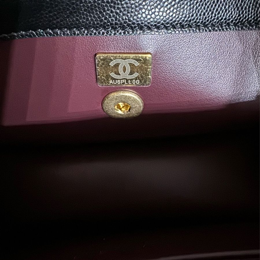 Chanel 23A高級手工坊系列早秋Métiers d’art collection Chanel Small Flap Bag 工藝系列垂蓋包-20