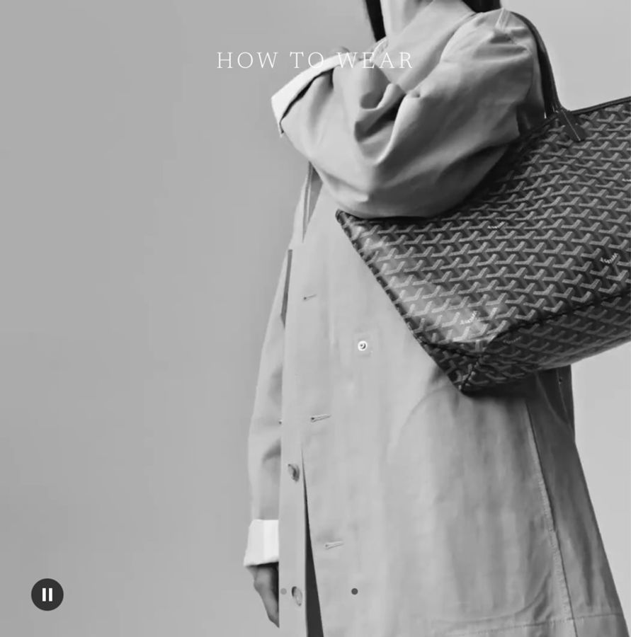 Goyard 爆款托特 St.Louis PM 灰色-3