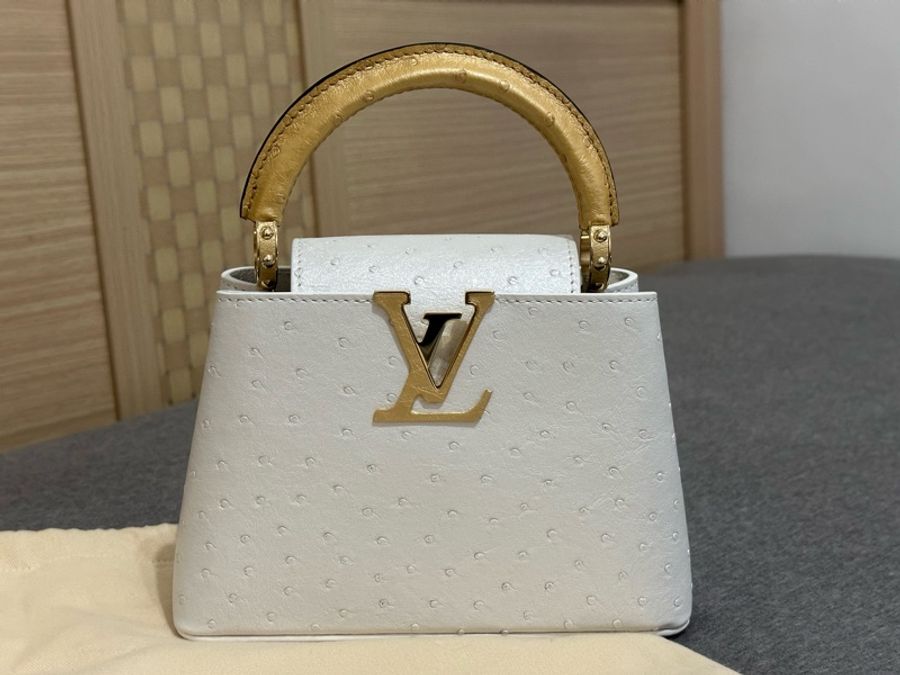 Capucines Mini N80917-6