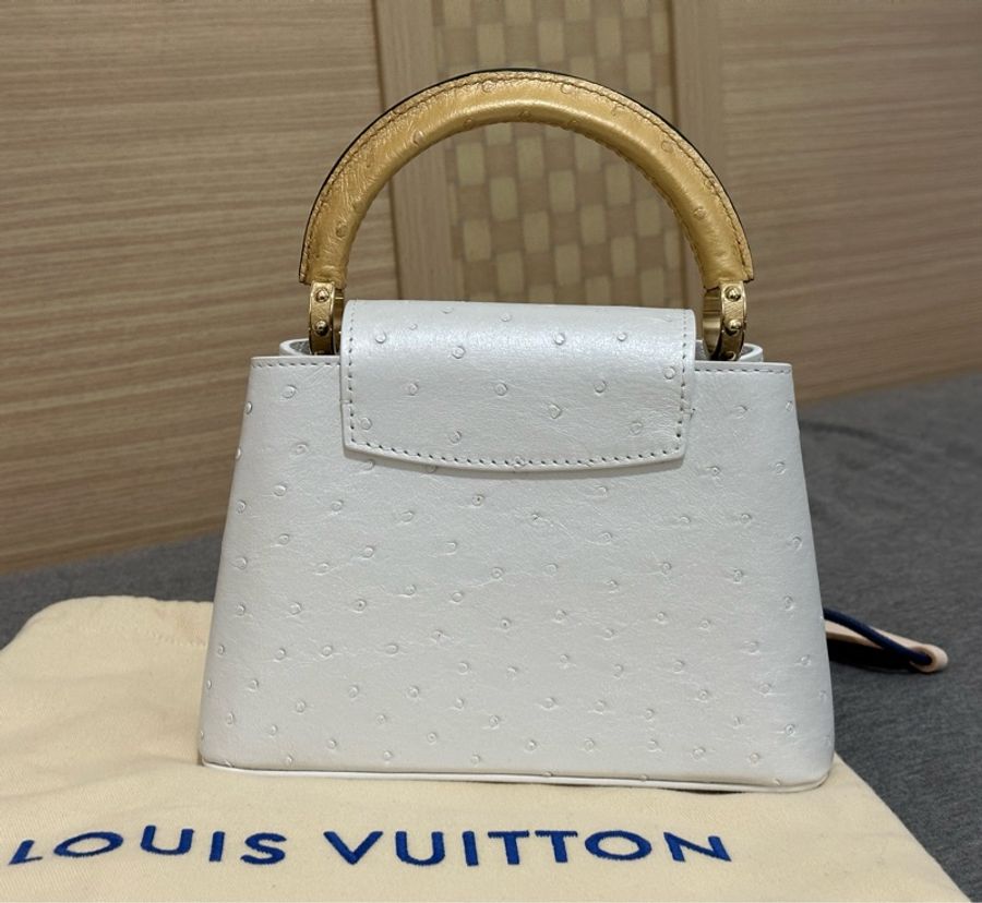 Capucines Mini N80917-8