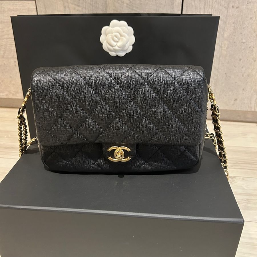 Chanel 香奈兒口蓋包荔枝皮雙鏈雙C log-1