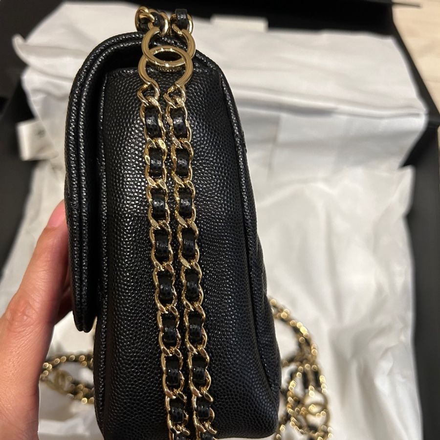 Chanel 香奈兒口蓋包荔枝皮雙鏈雙C log-3