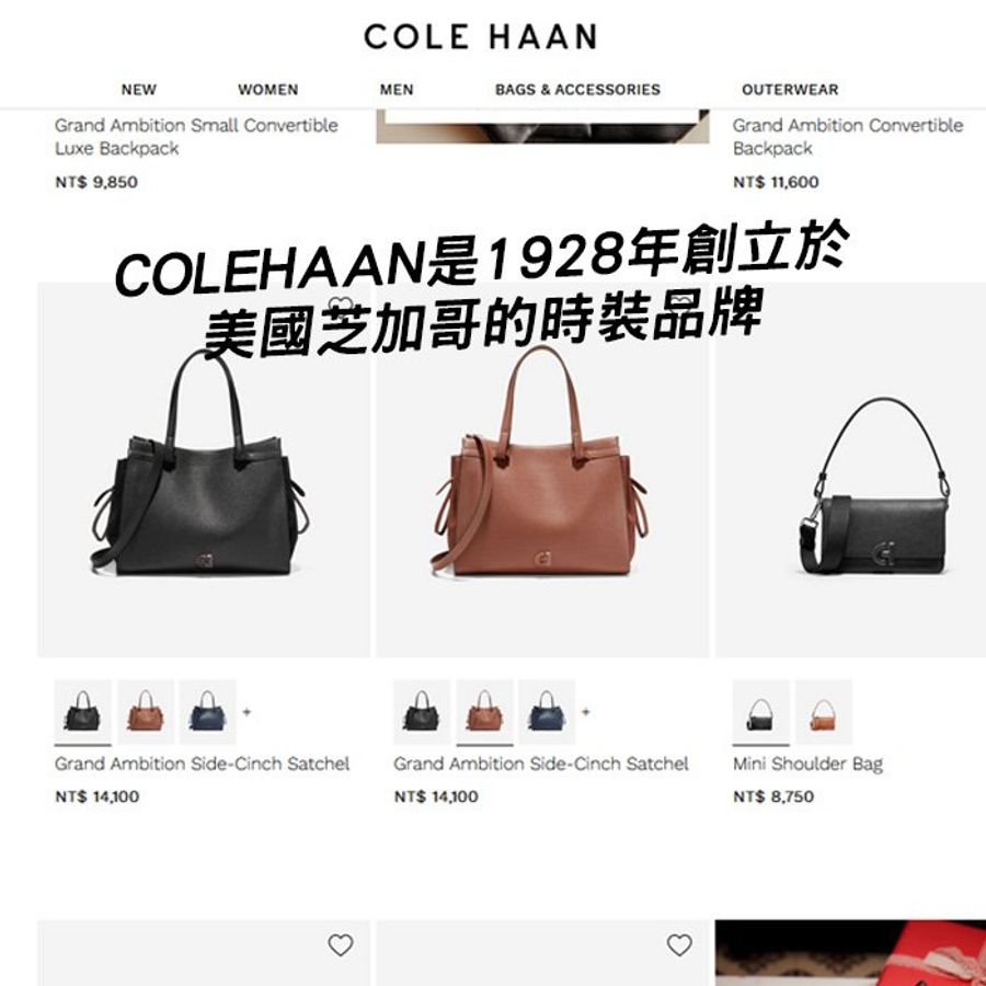 COLE HAAN*皮革包*編織提把*手提包*單肩包*托特包-15
