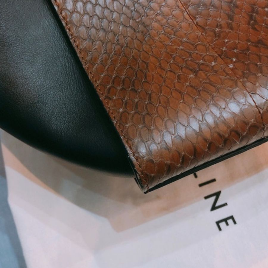CELINE 思琳鞦韆包 中號 蛇皮TRAPEZE MEDIUM PYTHON BAG-6