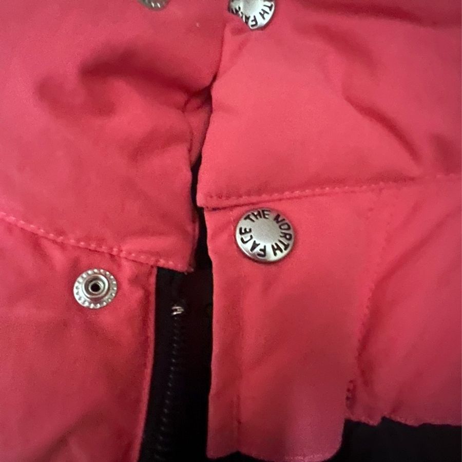Gucci  聯名the north face-11