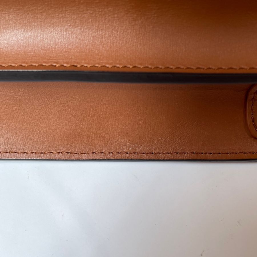 Louis Vuitton Dauphine mini-13
