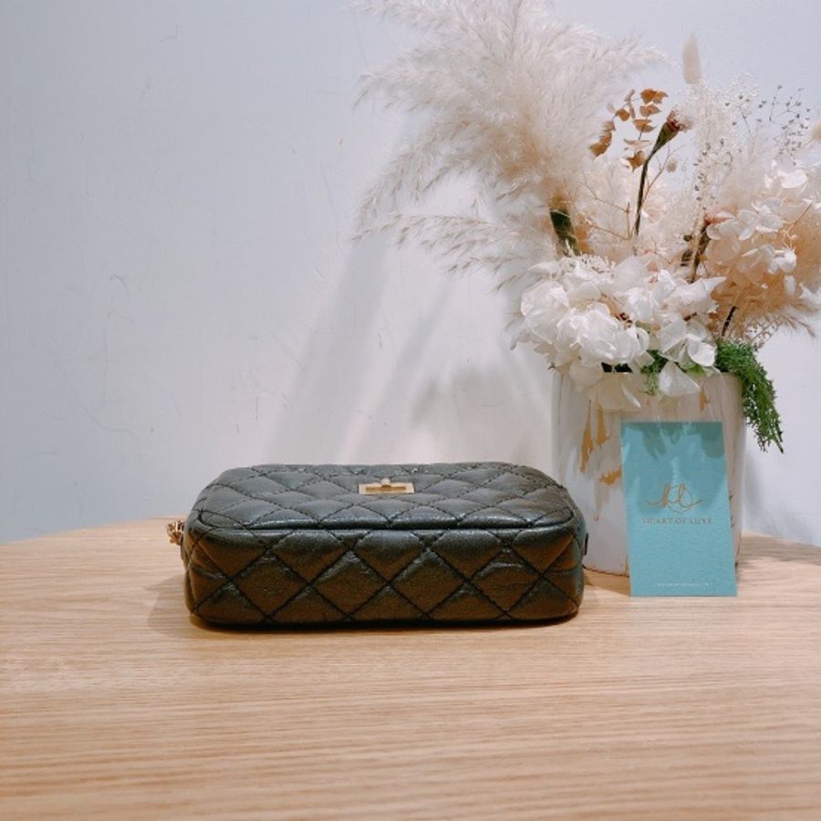 Chanel 仿舊小牛皮及金色金屬 2.55迷你手袋Mini 2.55 Carmera Bag-1