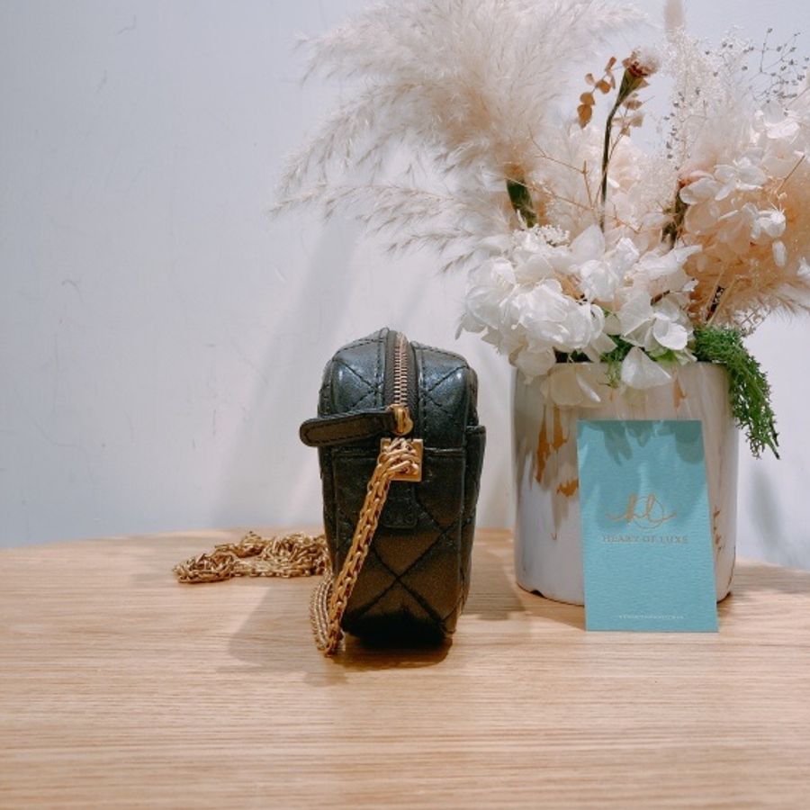 Chanel 仿舊小牛皮及金色金屬 2.55迷你手袋Mini 2.55 Carmera Bag-2