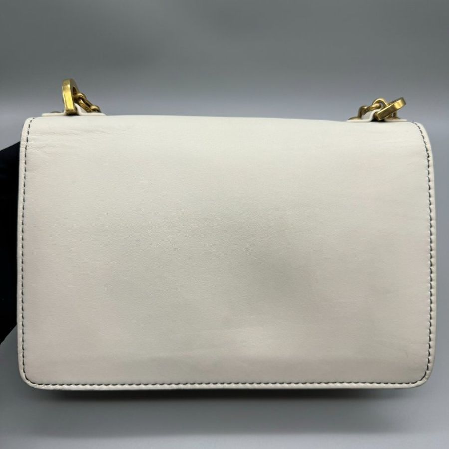 Dior jadior 白金鏈包-6