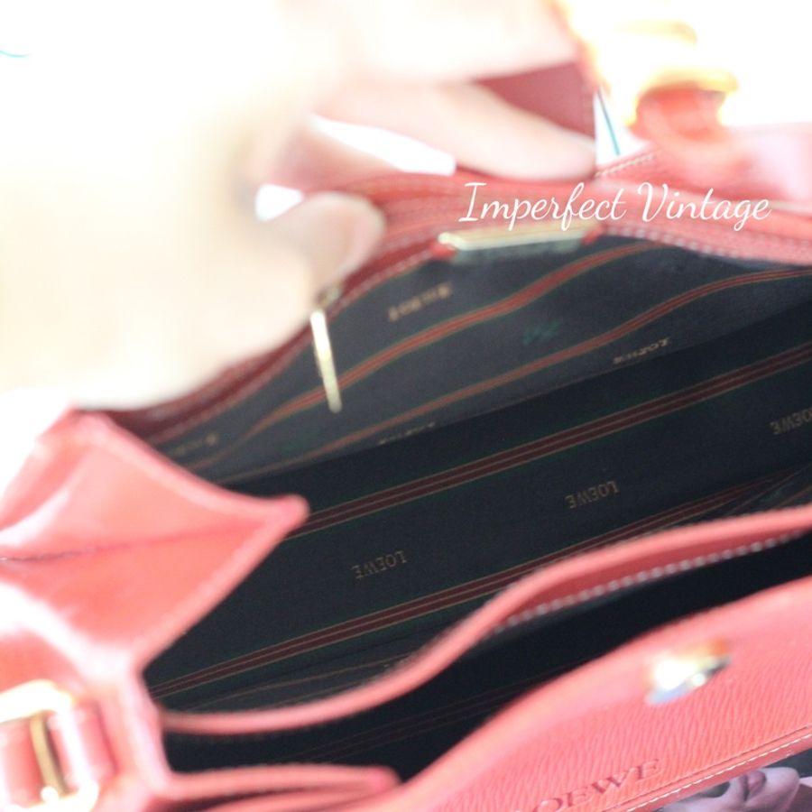 Loewe中古蛇骨包-9