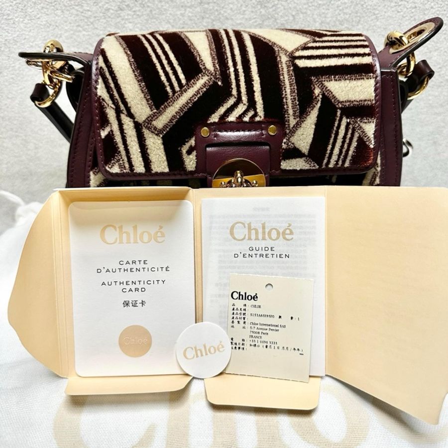 Chloé Tess 植絨皮革馬鞍包-9