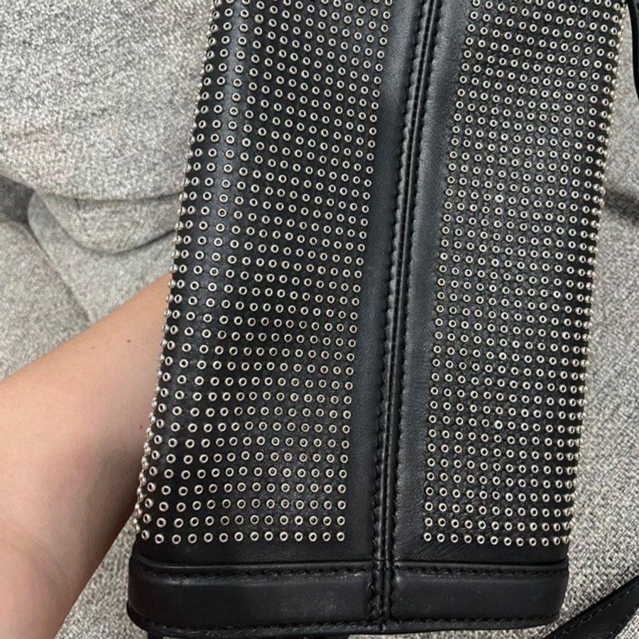Alexander McQueen bag-5