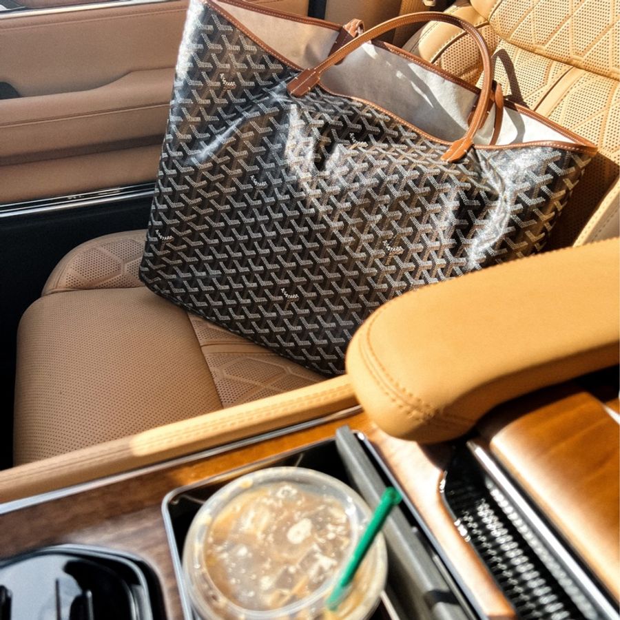 Goyard 人氣爆款 St.Louis 金棕 托特 GM-2