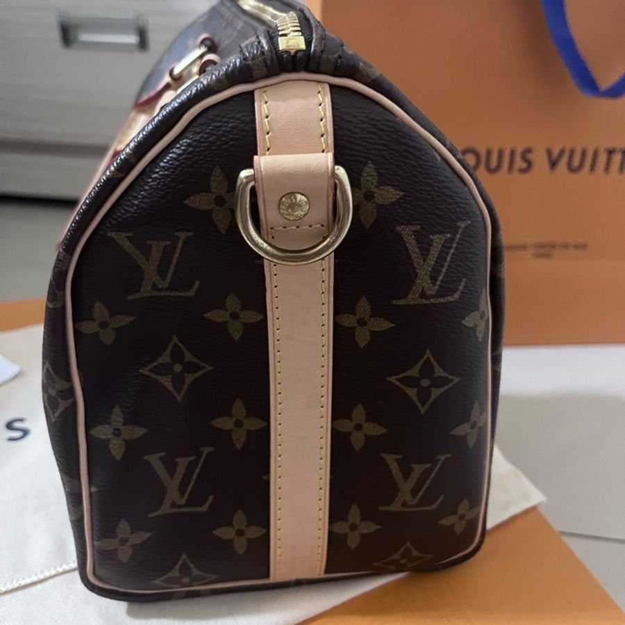 Lv speedy 25 新款 晶片款-4