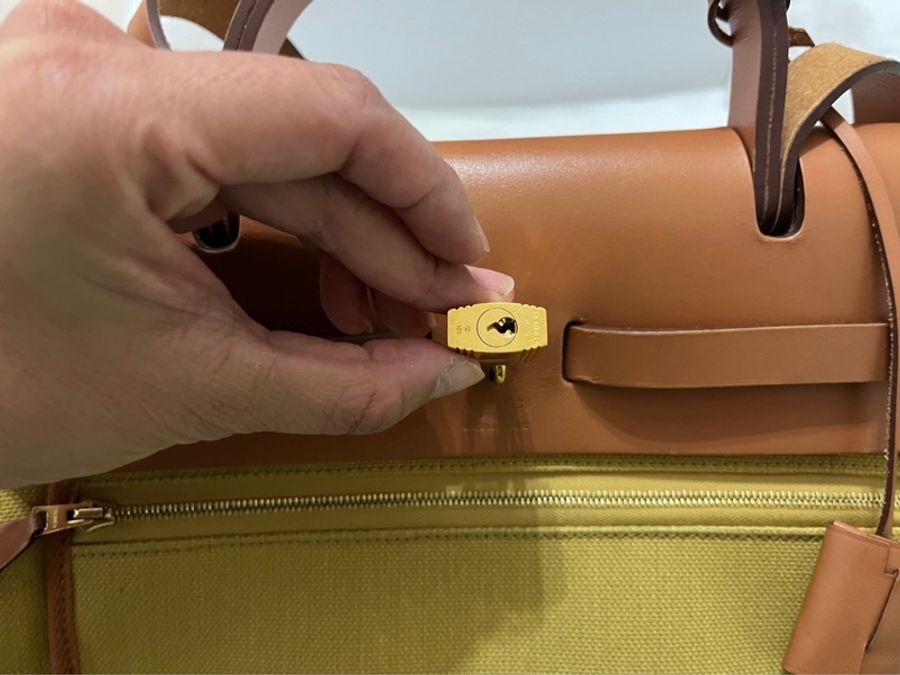 Hermes愛馬仕harbag31 帆布兩用包/金釦-6