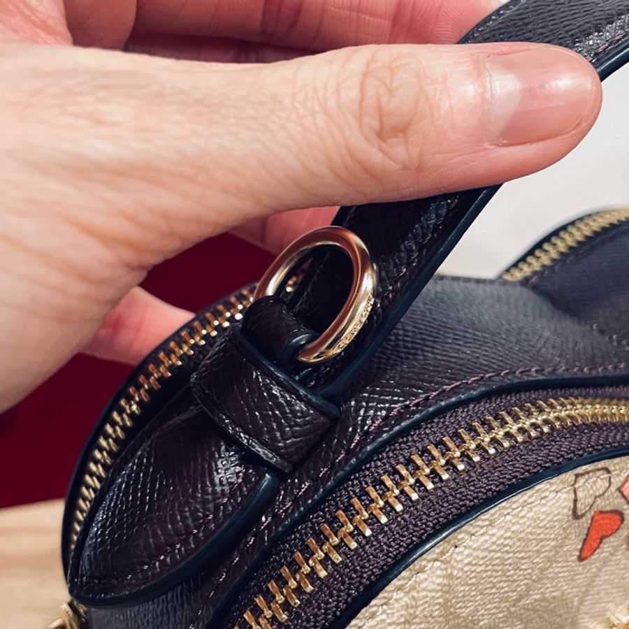 降價!coach 情人節限定愛心包(吊牌未拆)-29