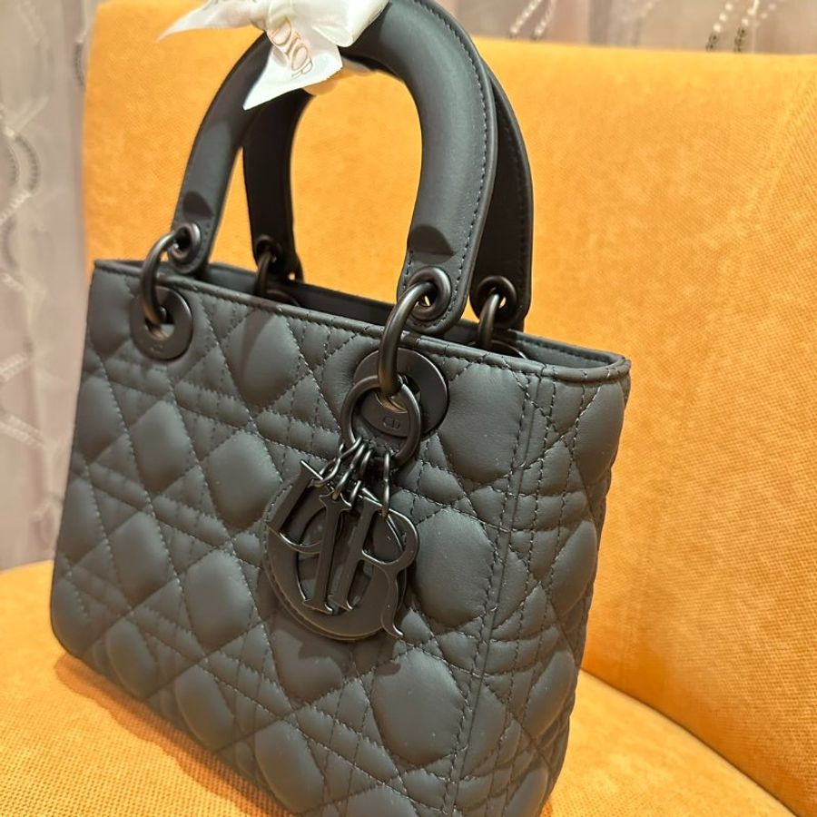 dior 黛妃包-1