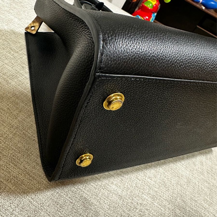 LV蛇皮手提包-11