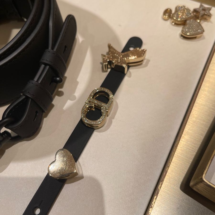 Dior全新黛妃磨砂黑-1