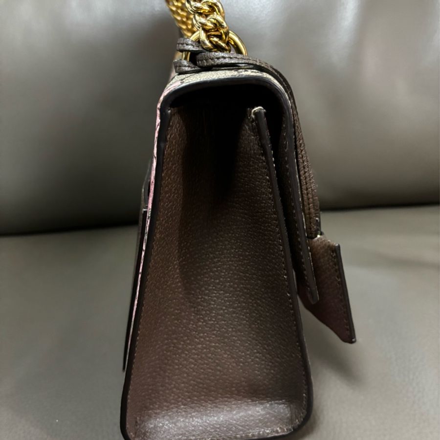 Gucci Padlock Bengal Shoulder bag-13