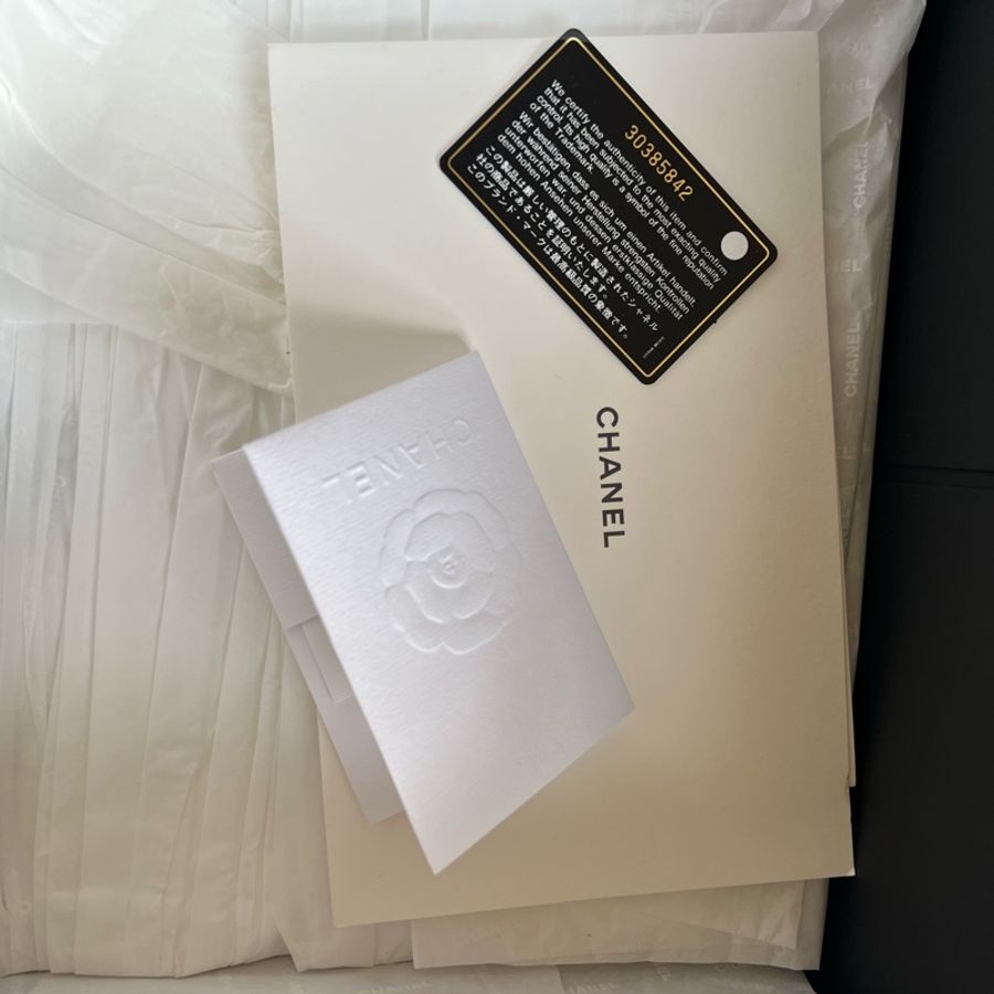 Chanel Boy 20粉金荔枝皮-15