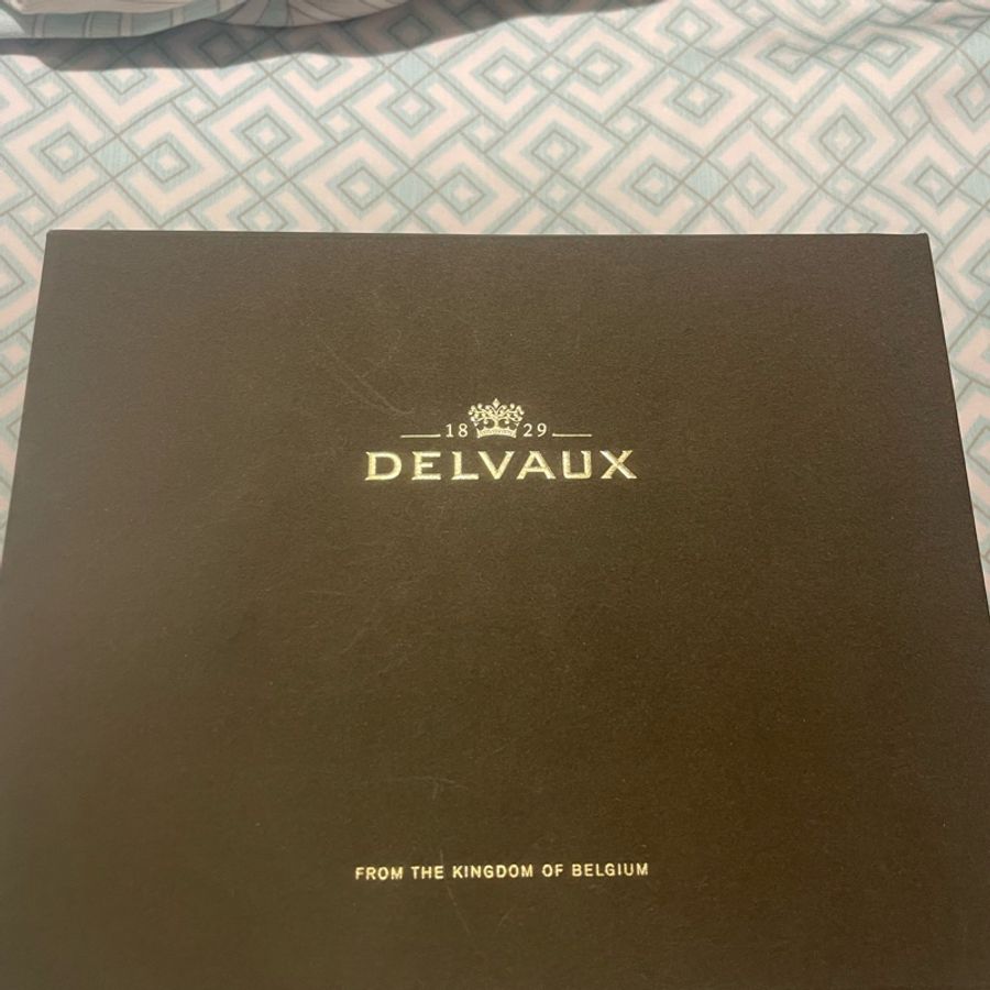 DELVAUX 比利時皇家皮件-手提零錢卡片包-6