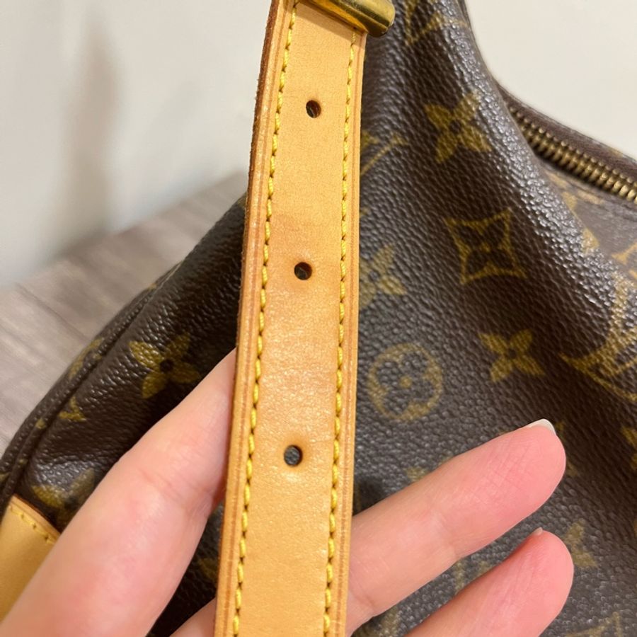 LV 經典老花牛角包-14