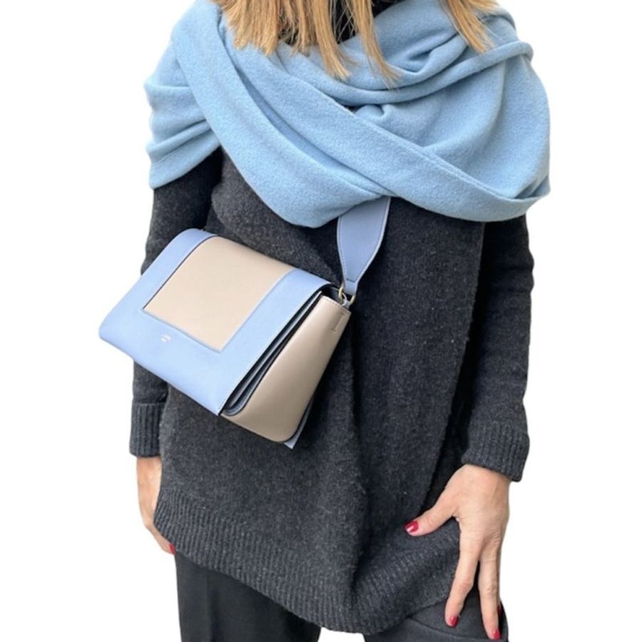 *Celine Frame Medium Crossbody Bag for Women in Light Taupe/Medium Blue (180263AQO-06ML)-6