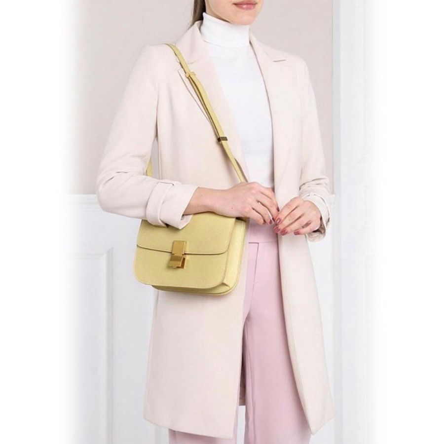 *Celine Medium Classic Crossbody Bag for Women in Sand (189173XLA-03SD)-5