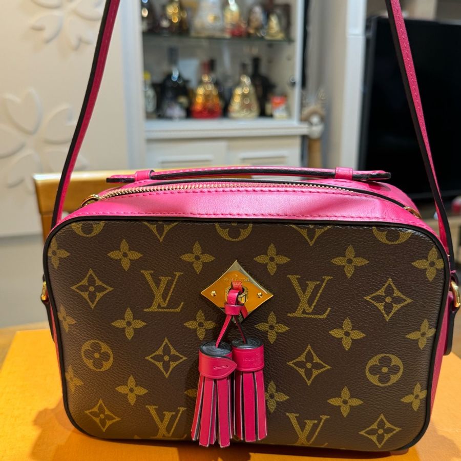 Louis Vuitton 流蘇小手提斜背相機包-10
