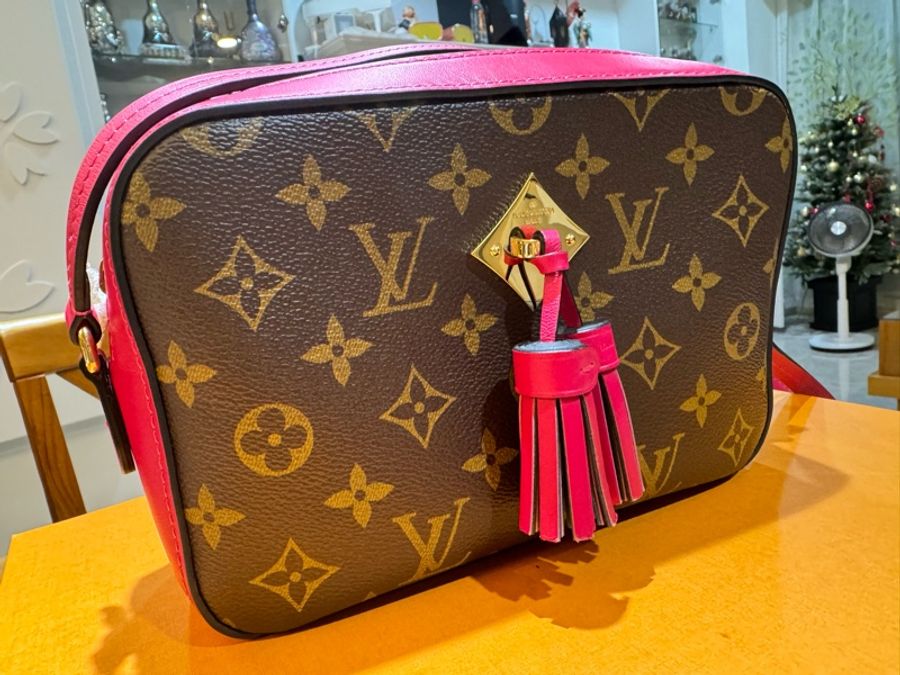 Louis Vuitton 流蘇小手提斜背相機包-11