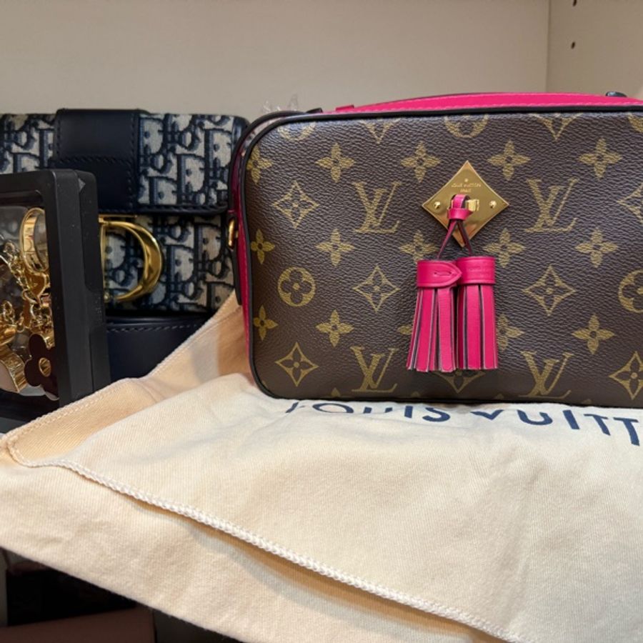 Louis Vuitton 流蘇小手提斜背相機包-6