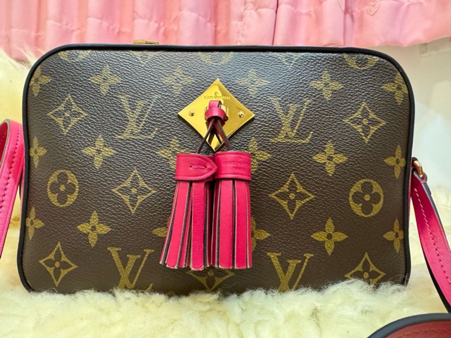 Louis Vuitton 流蘇小手提斜背相機包-9