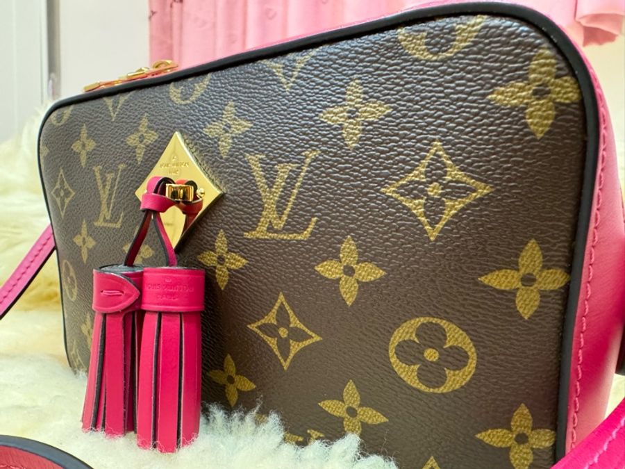 Louis Vuitton 流蘇小手提斜背相機包-14