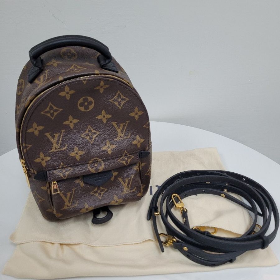 LV Palm Springs Mini-0