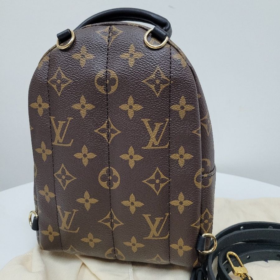 LV Palm Springs Mini-3