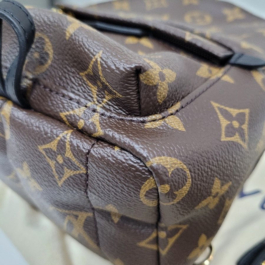 LV Palm Springs Mini-8