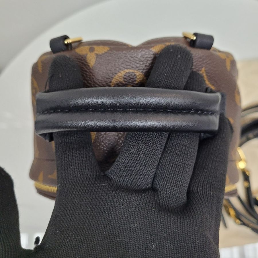 LV Palm Springs Mini-9