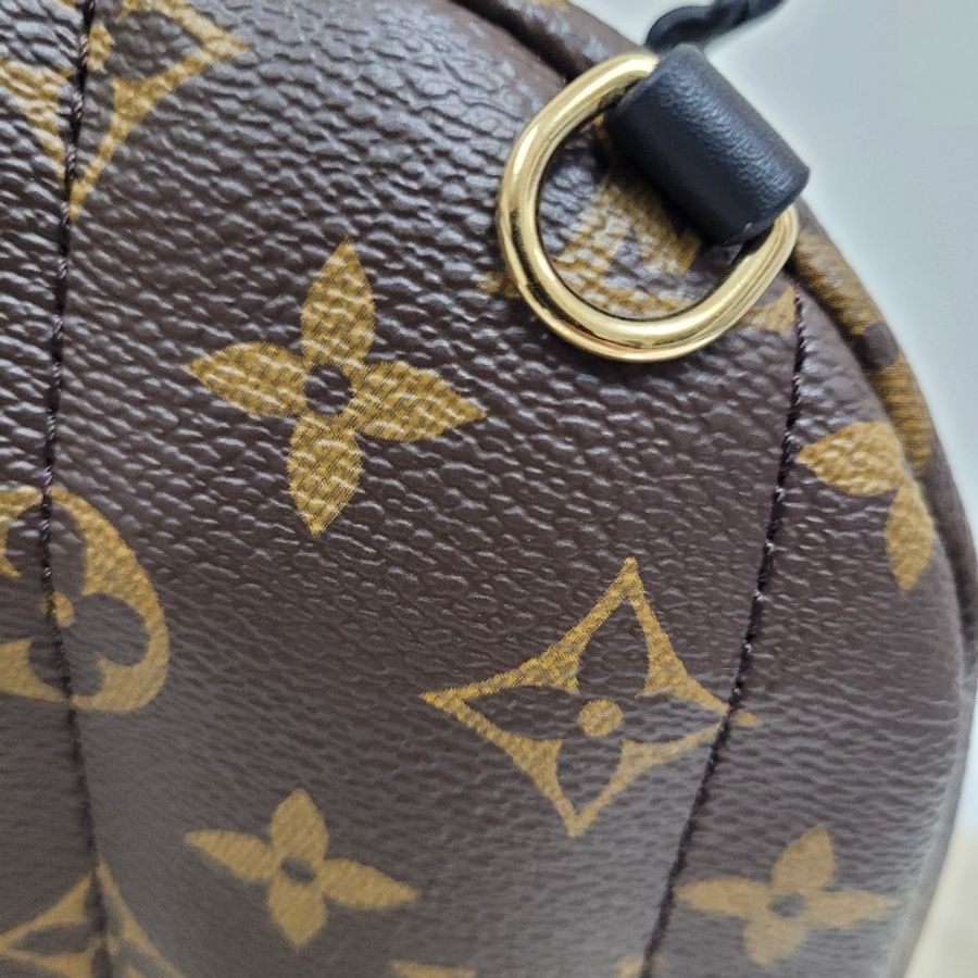 LV Palm Springs Mini-24