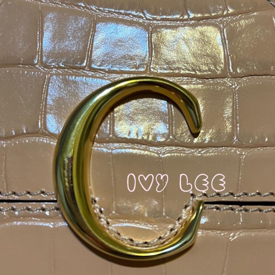 CHLOÉ mini Vanity crossbody bag 粉膚淡橘色 肩背包 斜背包 二手精品-2