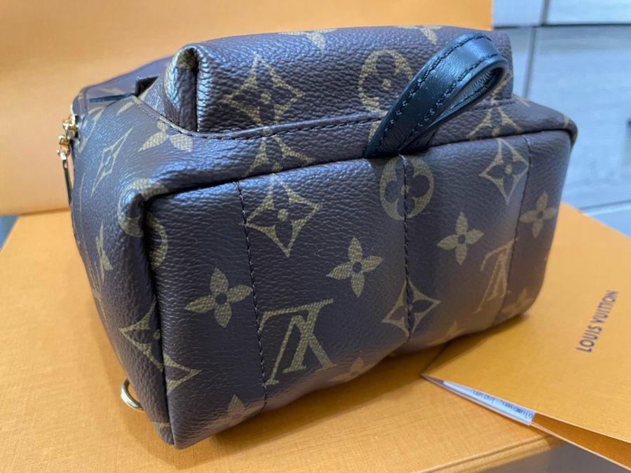 LV Palm Spring Mini Backpack新款小書包/迷你後背包-2